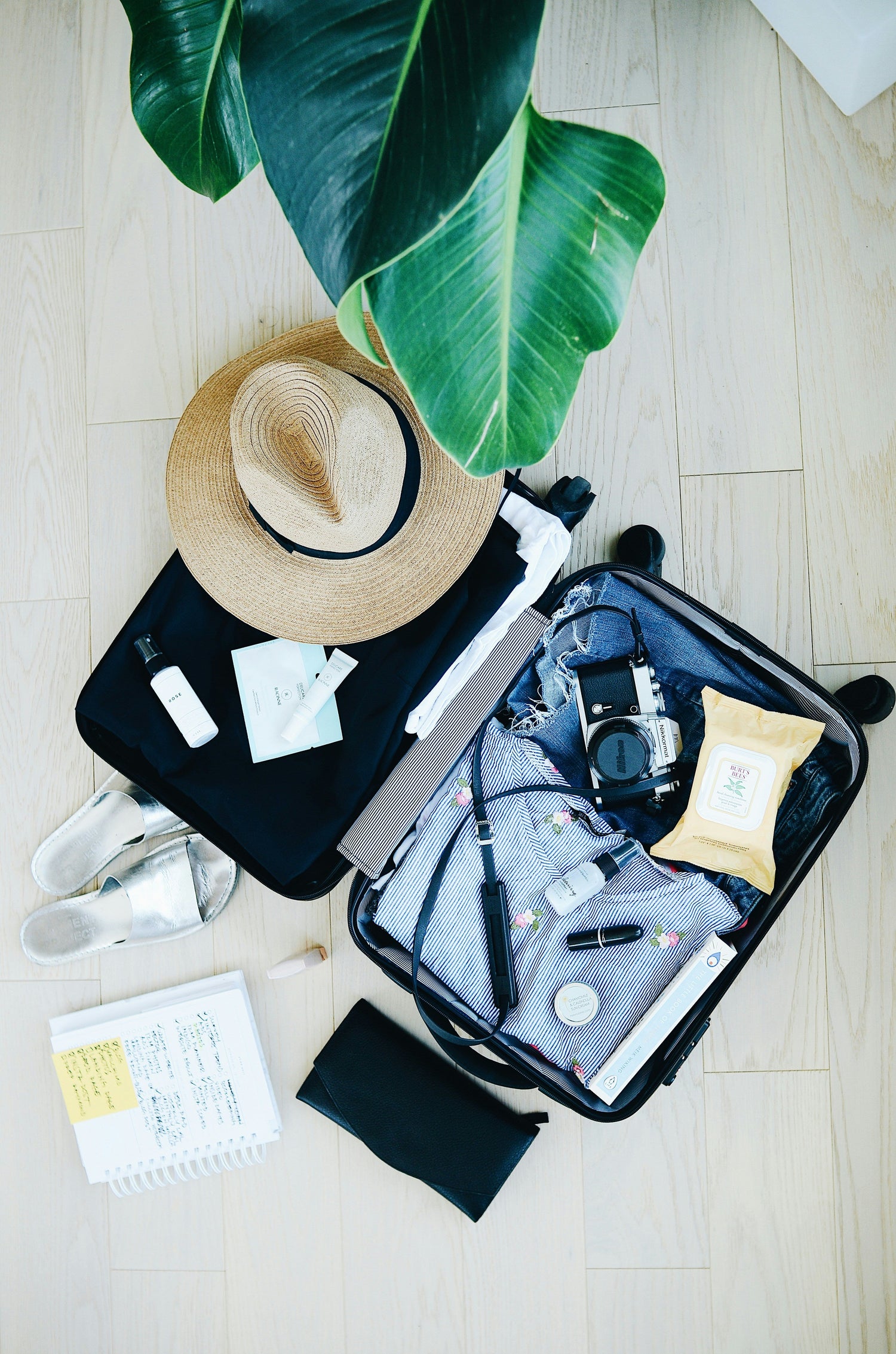 Travel & Outdoor